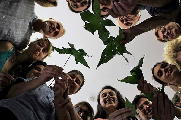 Nuovi linguaggi dell’educazione ambientale e alla sostenibilità. Incroci tra educazione, ambiente e democrazia