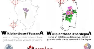 Wikiplantbase